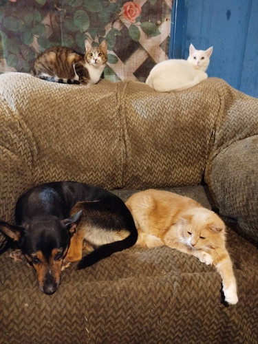 G ZqtsXWUAAtaYJ?format=jpg.jpg