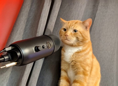 tNP8pVk zqLHPsSo.jpg