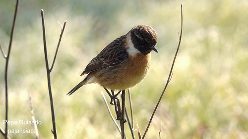 L3 3ubqsfvpyKLHC.jpg