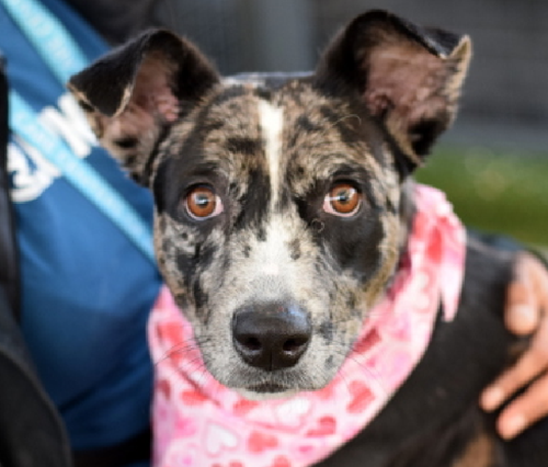 G eZyRlbUAA L2H?format=png.png