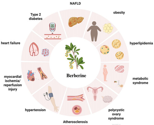 G dk2nlX0AA86J9?format=jpg.jpg
