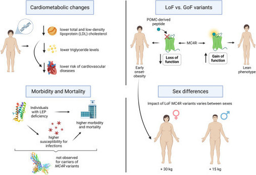 G elzThXcAAe37o?format=jpg.jpg