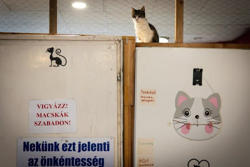 615895159 1199811215603151 7082667939342500734 n.jpg?stp=dst jpg s590x590 tt6& nc cat=110&ccb=1 7& n.jpg