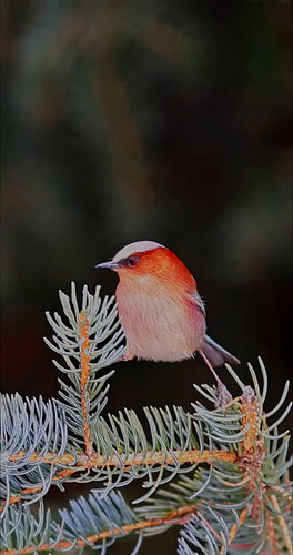 9UeOlJWw mvHjYks.jpg