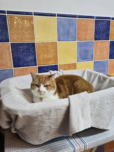 G c2T LXwAAsKoe?format=jpg.jpg