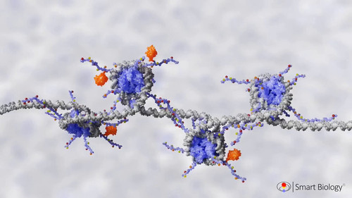 KuyH 1etZrThJJr .jpg