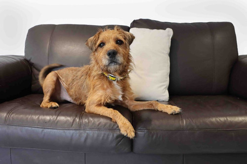 G c2jH6bkAADtAr?format=jpg.jpg