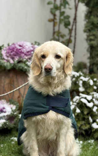 G d yc7XkAAaRy1?format=jpg.jpg