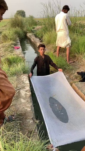 nAfQbtAdVPey Ptc.jpg