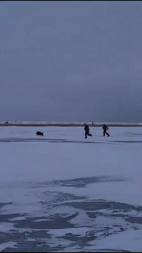 wLtfVdWr9ii dLoX.jpg