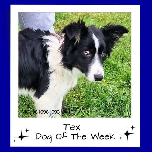 G c5UbgXsAA k8k?format=jpg.jpg