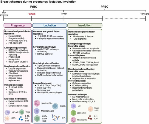 G eQdCCXUAA82E4?format=jpg.jpg