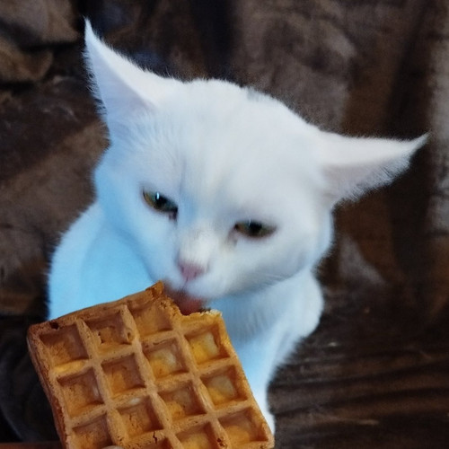 G d8RhWXAAA80tV?format=jpg.jpg