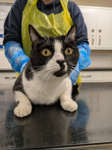 G dfHeyW0AA8 NI?format=jpg.jpg