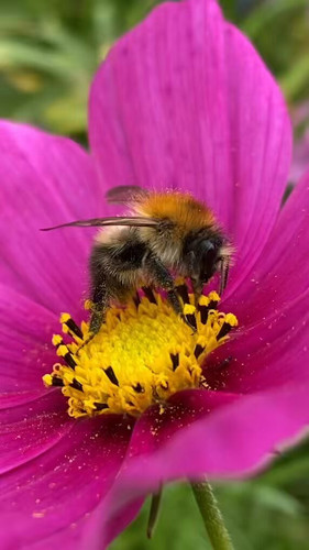 sBFAWKXPlBm0I uk.jpg