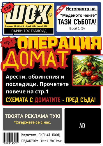  ШОК (template) v.1.png