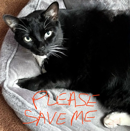 G Z0U4aXcAEzub9?format=jpg.jpg