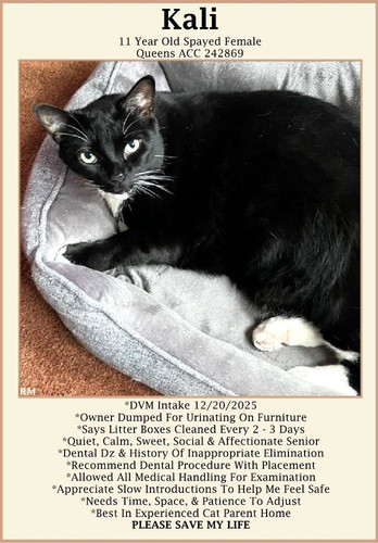 G Lv8cwa0AArBm9?format=jpg.jpg