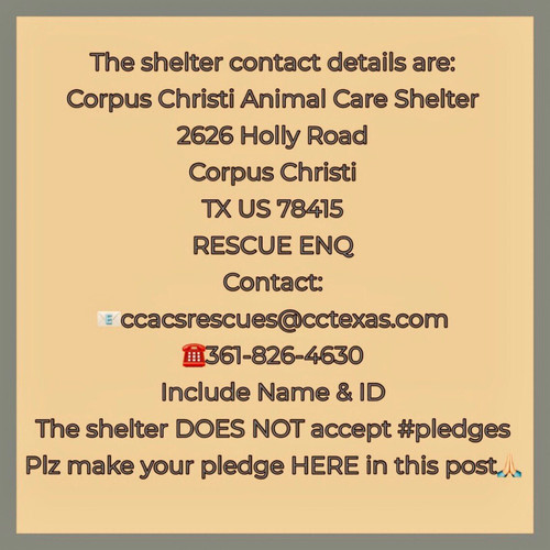 G dqmq7WcAASTWa?format=jpg.jpg