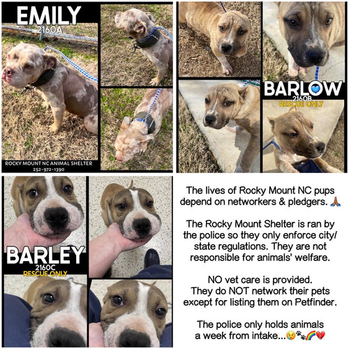 G Tf9 hWgAA1uh2?format=jpg.jpg