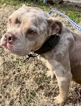 G Vm0sUbQAASvkj?format=jpg.jpg