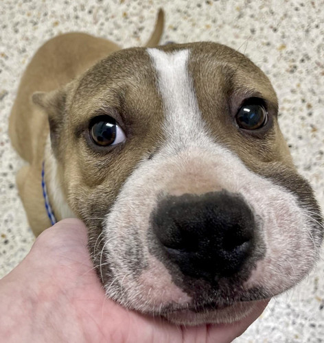 G Vm0sKasAU4map?format=jpg.jpg