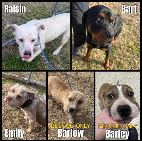 G enBCJb0AAJV7a?format=jpg.jpg