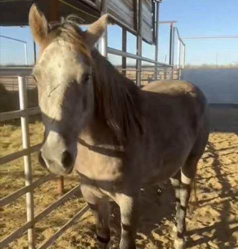 G UQIorWIAAFBLJ?format=jpg.jpg