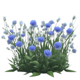 image removebg preview (30).png