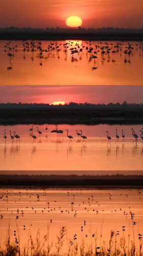 82CdkBu6IU Rft1v.jpg