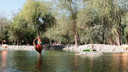 T Ml HcOnMYN iai.jpg