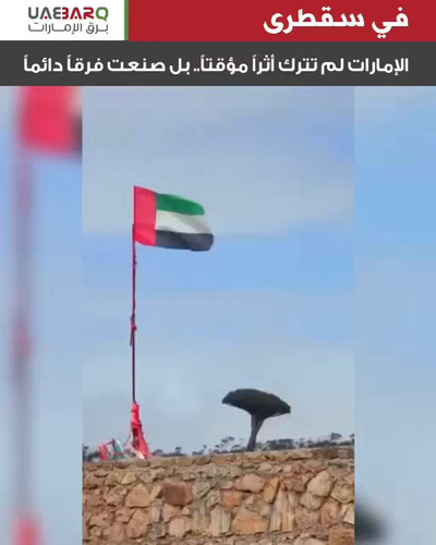 pS2gjGqS1pNhC43 .jpg