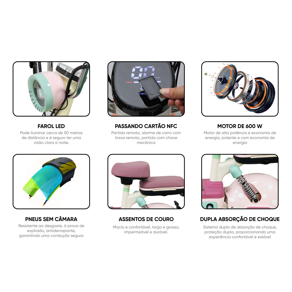 Rear view of the V-Raptor showing the taillight.