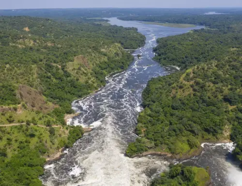 0524566001678829699 2063301 920x708.webp