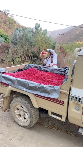 SE2QEDMXb4 eY2Mu.jpg