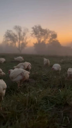 Wwpux3UFcm G5bvG.jpg