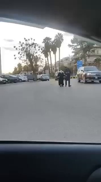 PJTXDevurelk Z9M.jpg