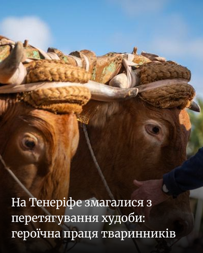 6e82c3aa1531.png