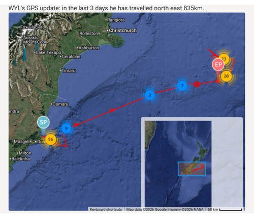 G VhVuUa8AAdl91?format=png.png