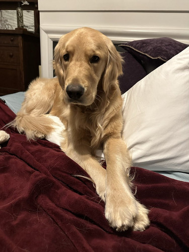 G eO1MmWQAAZS G?format=jpg.jpg