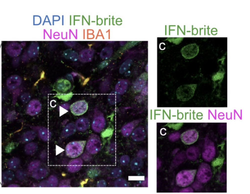 G Yl0YsX0AAIY0n?format=jpg.jpg