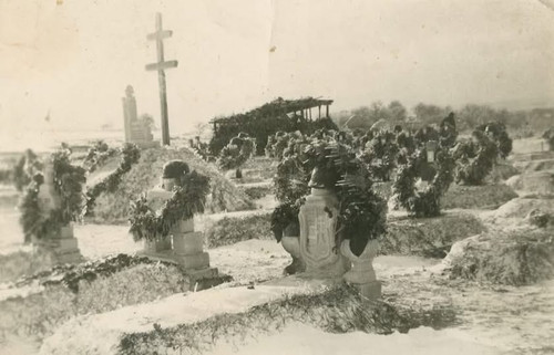 615778390 910489258174713 6009937413314318101 n.jpg?stp=dst jpg p180x540 tt6& nc cat=105&ccb=1 7& nc.jpg