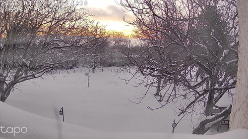782051226B8E 20260112073432794 cam0.jpg