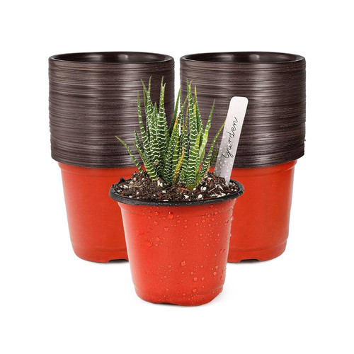 91d7A5G3ZwL. AC SL1500 .jpg