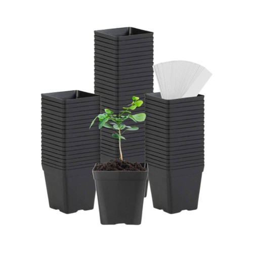 712B3NfLapL. AC SL1500 .jpg