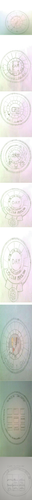 OAM CORPORATION DEPARMENTS OF POLICE.png