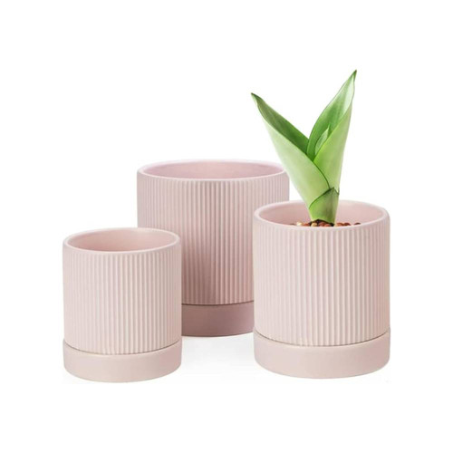 61dM03fY3kL. AC SL1500 .jpg