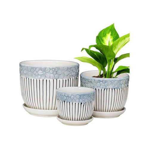 71gSxHfHpJL. AC SL1500 .jpg