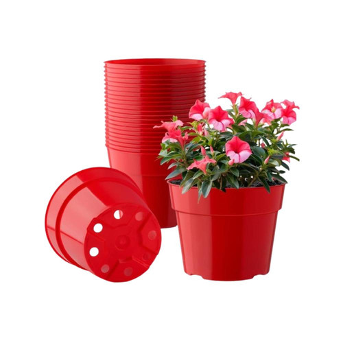 6159ydpNZdL. AC SL1100 .jpg