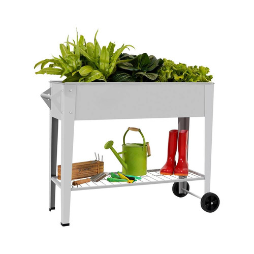 71STJ3pGhIL. AC SL1500 .jpg